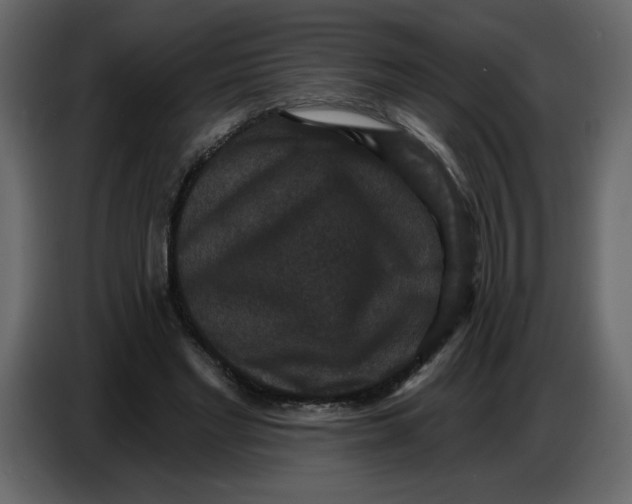 X0000086730493200705041350