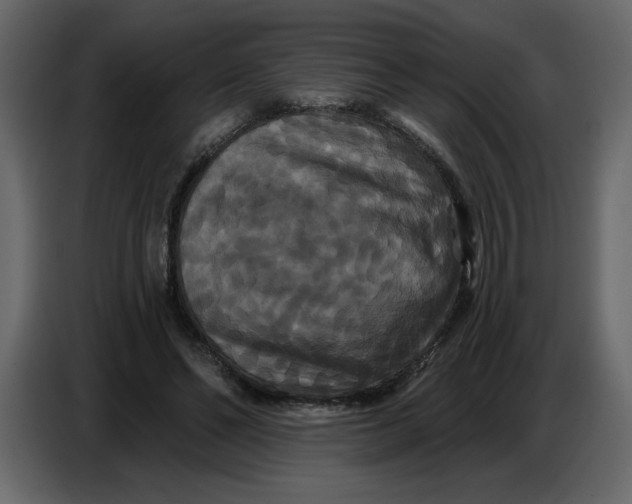 X0000086730494200705041350