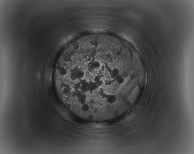 X0000086730495200705041350