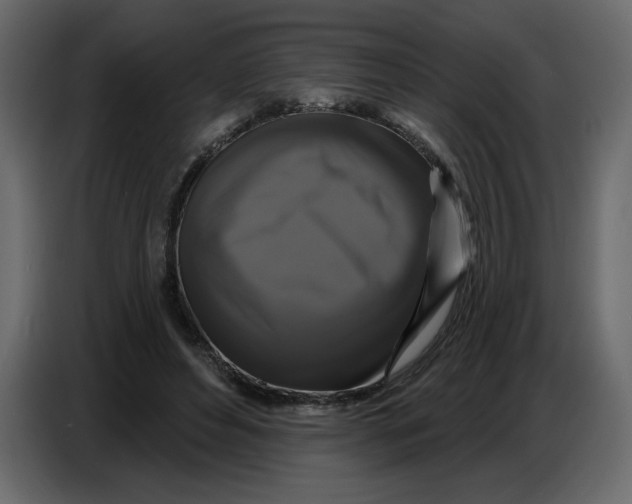 X0000086730496200705041350