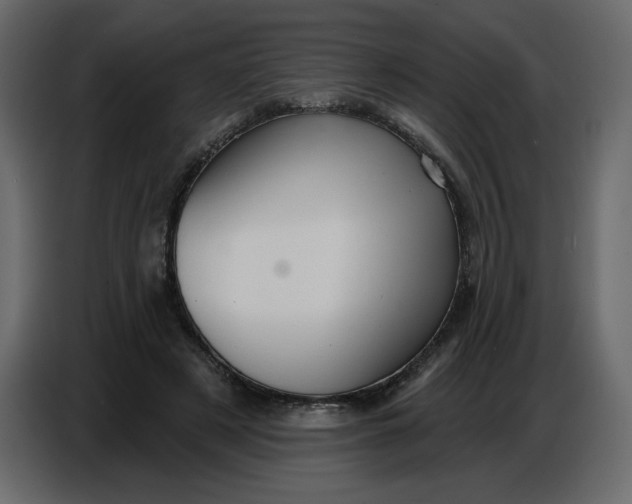 X0000086730497200705041350