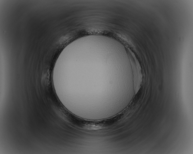 X0000086730498200705041350