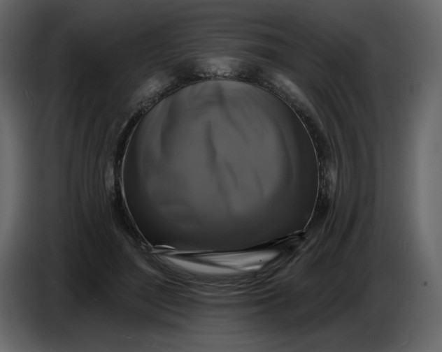 X0000086730500200705041350