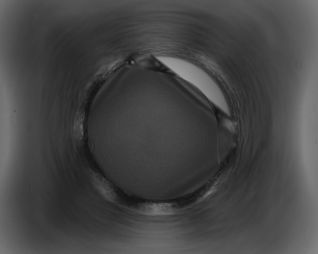 X0000086730501200705041350