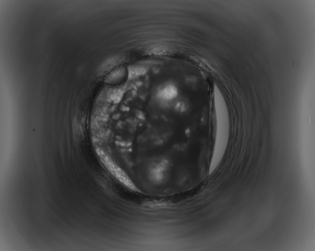 X0000086730503200705041350