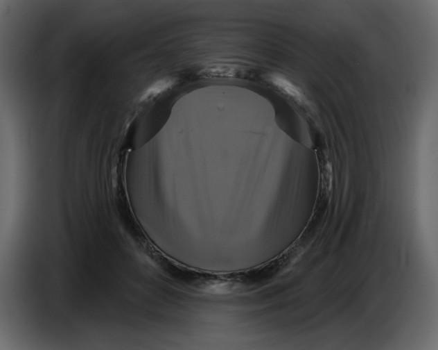 X0000086730504200705041350