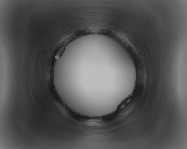 X0000086730505200705041350