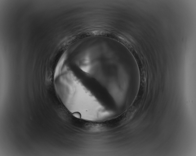 X0000086730507200705041350