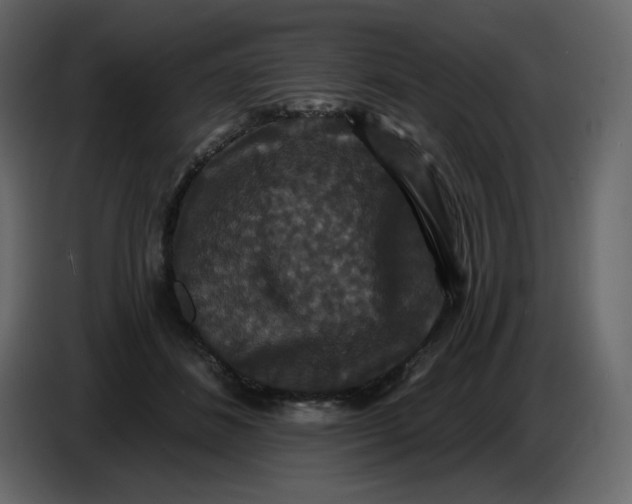 X0000086730508200705041350