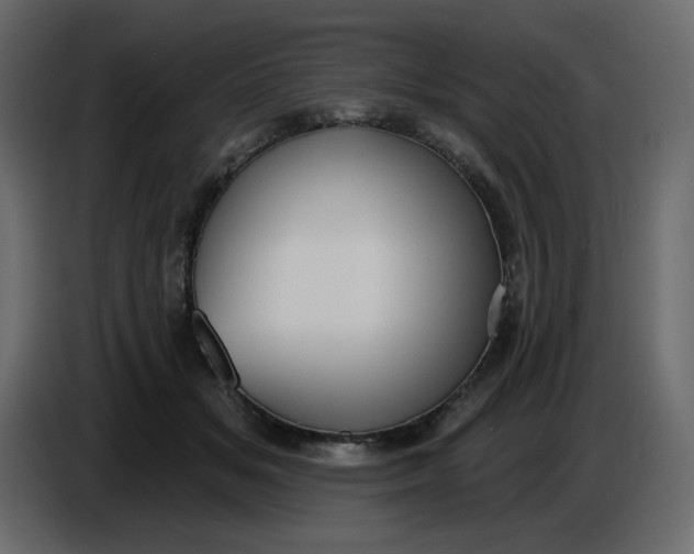 X0000086730509200705041350