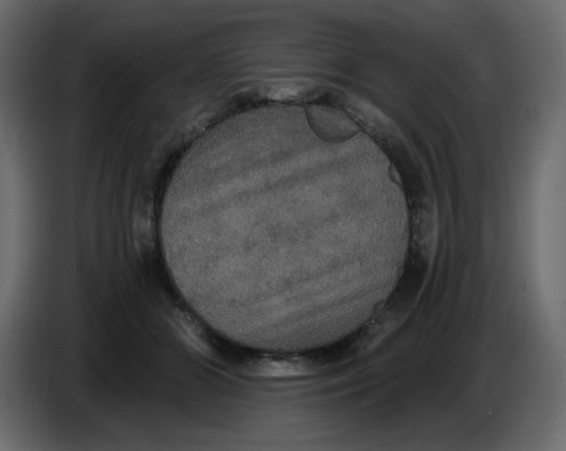 X0000086730510200705041350