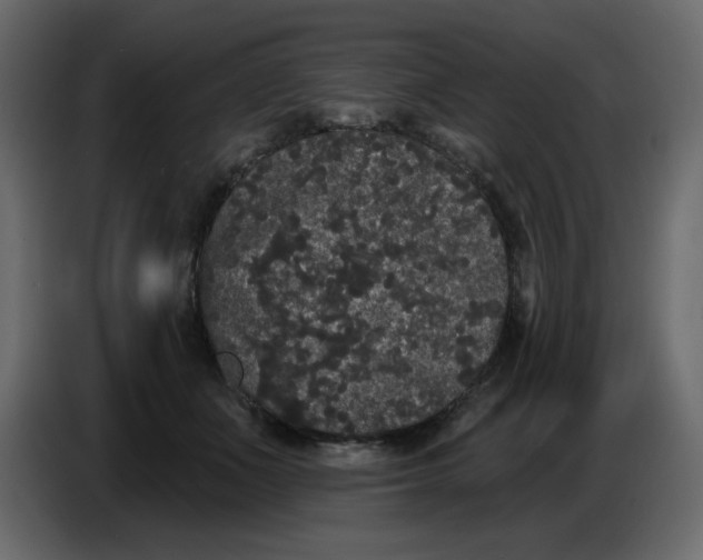 X0000086730511200705041350