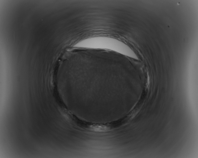 X0000086730512200705041350