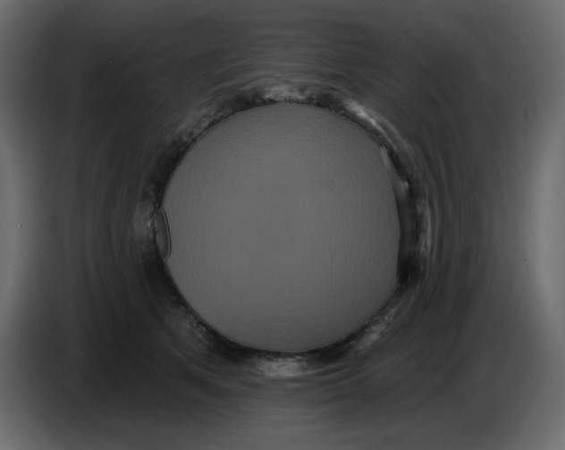 X0000086730513200705041350