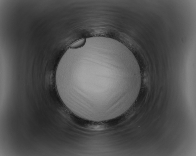 X0000086730514200705041350