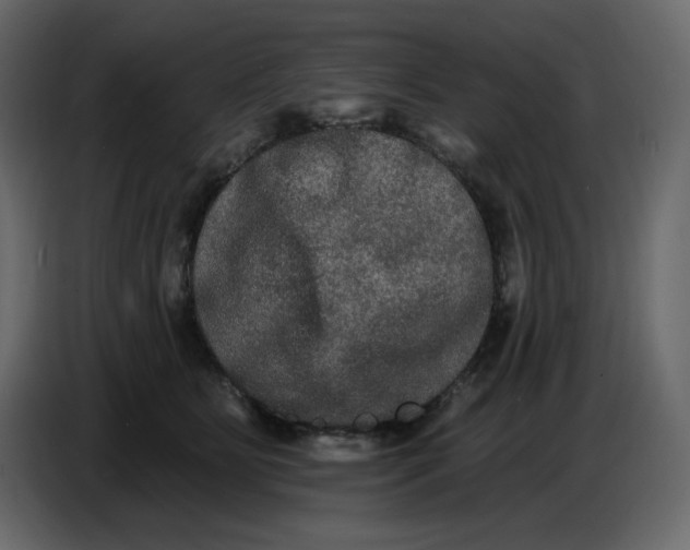 X0000086730515200705041350