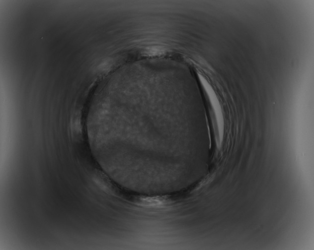 X0000086730516200705041350