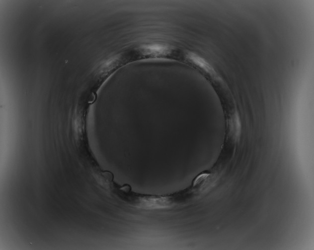 X0000086730517200705041350