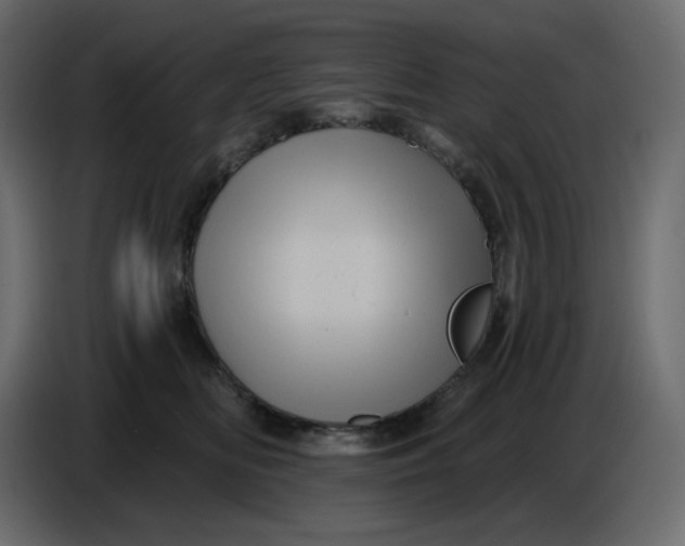 X0000086730518200705041350