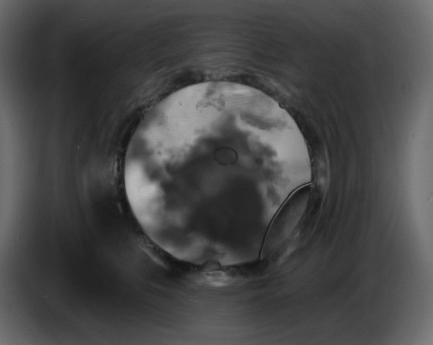 X0000086730519200705041350