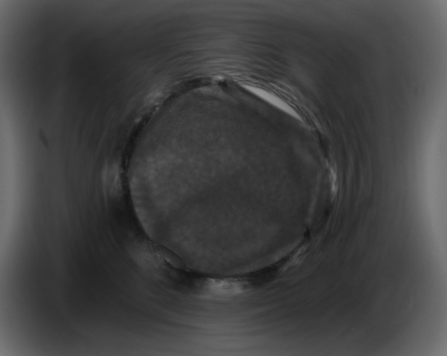 X0000086730520200705041350