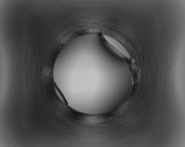 X0000086730521200705041350