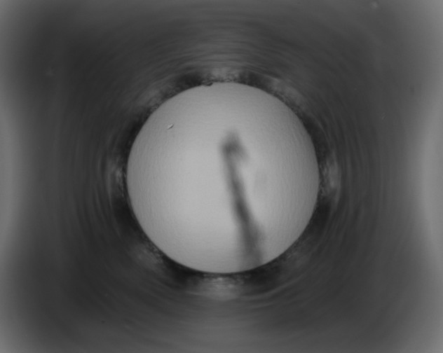 X0000086730522200705041350