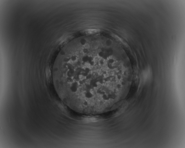 X0000086730523200705041350