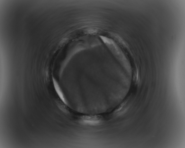 X0000086730524200705041350