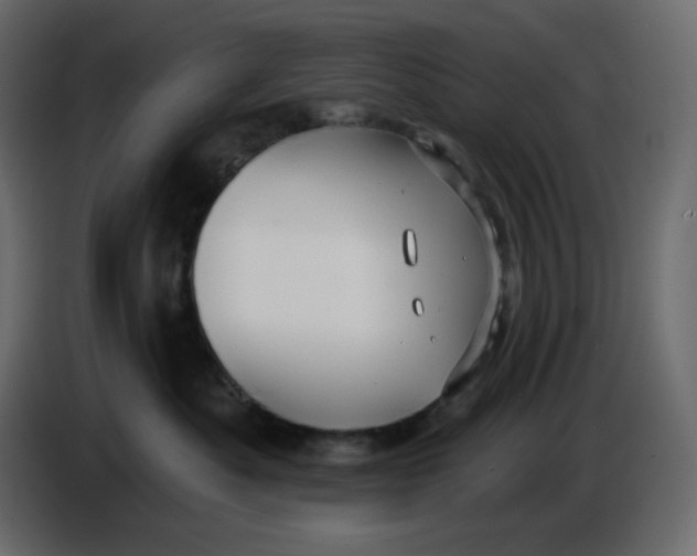 X0000086730525200705041350