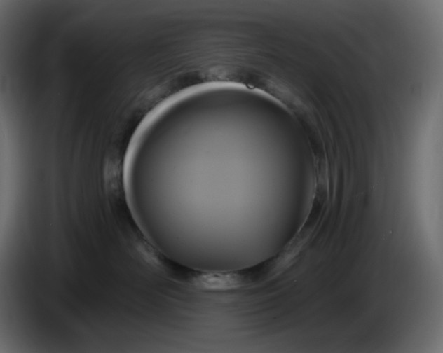 X0000086730526200705041350