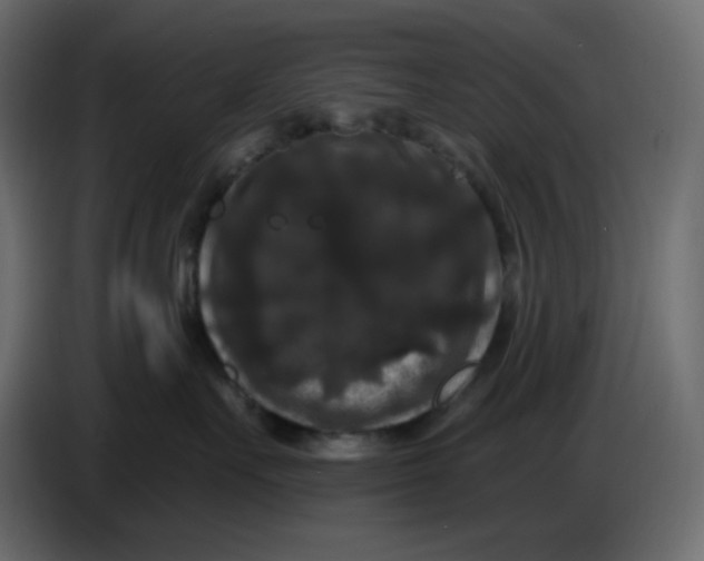 X0000086730527200705041350