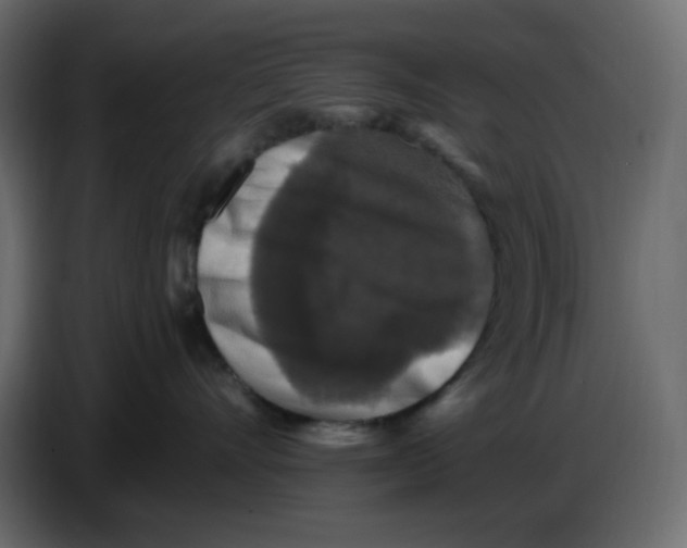 X0000086730528200705041350