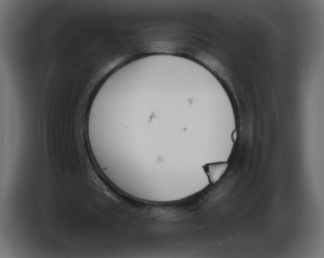 X0000086730529200705041349