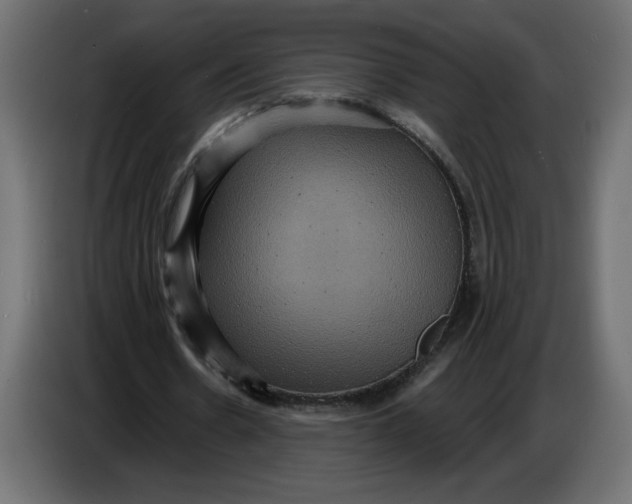 X0000086730530200705041349