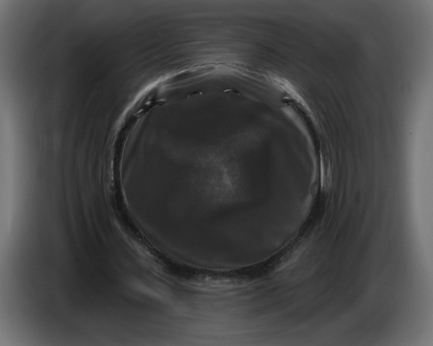 X0000086730531200705041349