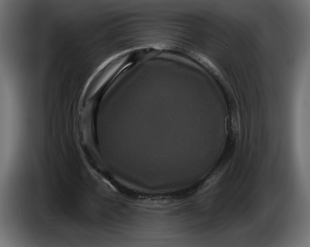 X0000086730532200705041349