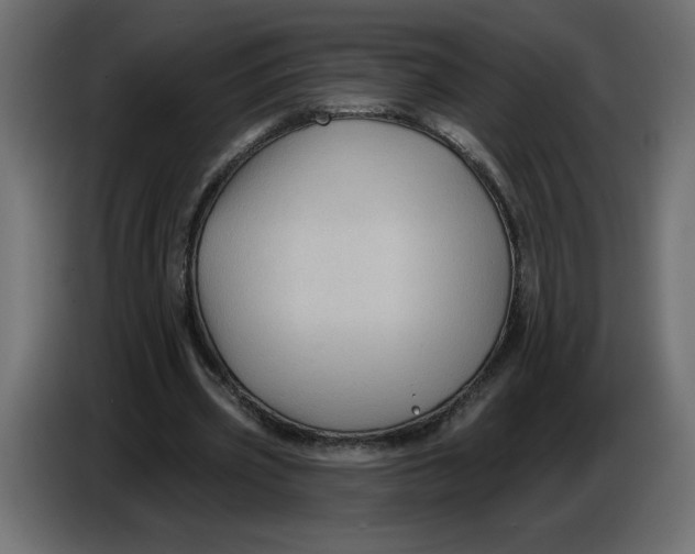 X0000086730533200705041349