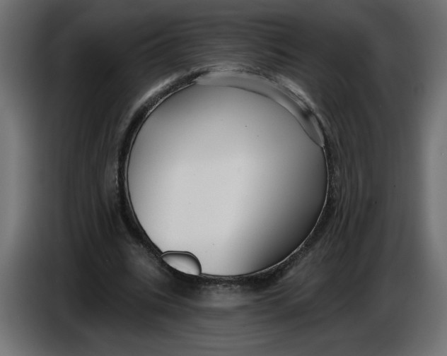 X0000086730535200705041349