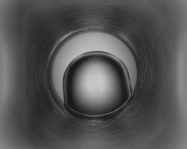 X0000086730536200705041349