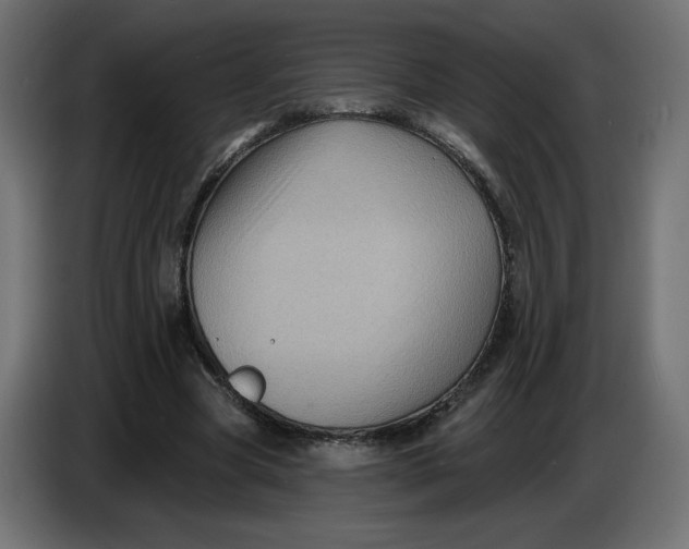 X0000086730537200705041349