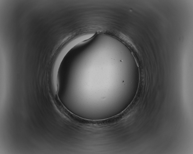 X0000086730538200705041349