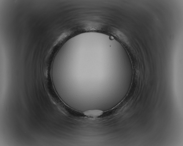 X0000086730539200705041349