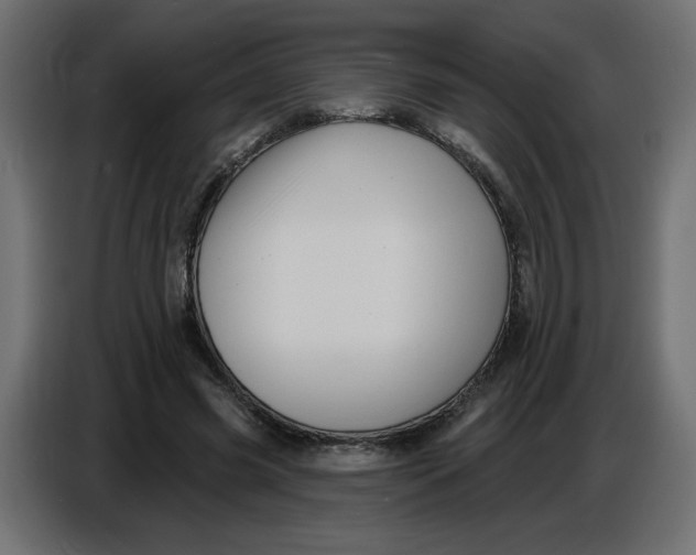 X0000086730541200705041349