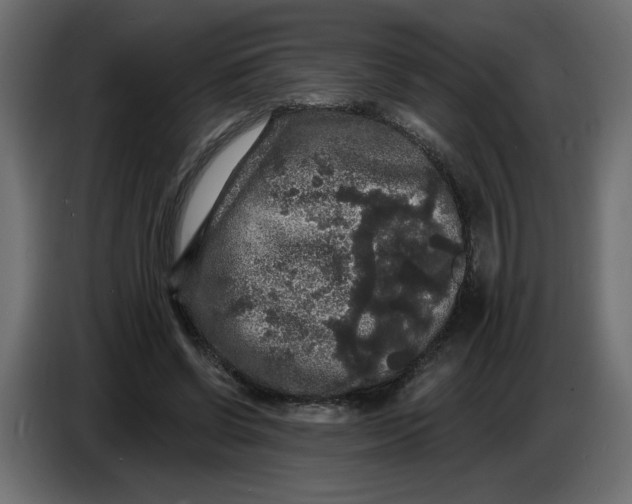 X0000086730542200705041349