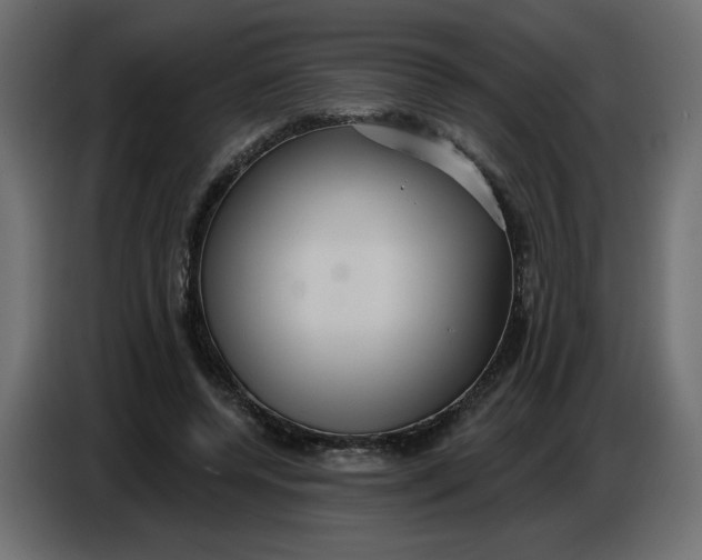 X0000086730544200705041349