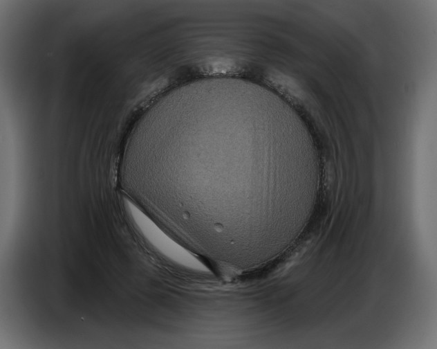 X0000086730545200705041349