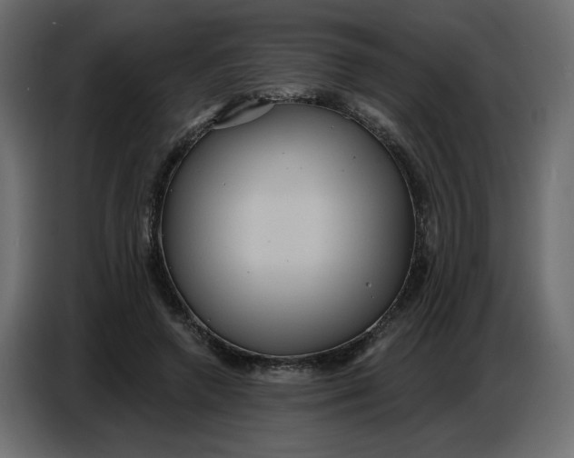 X0000086730546200705041349