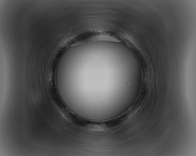 X0000086730548200705041349