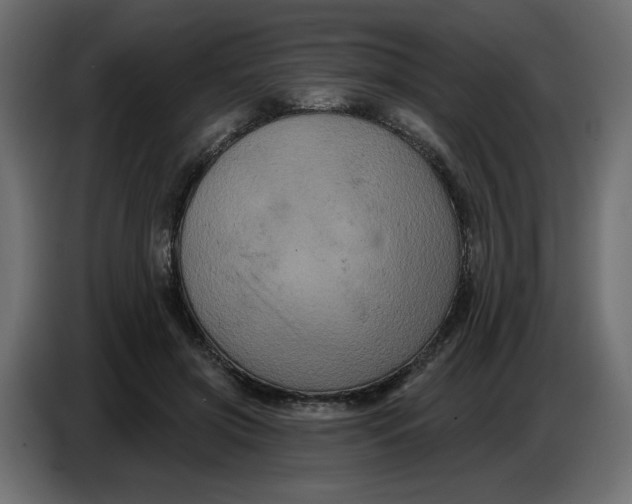 X0000086730549200705041349